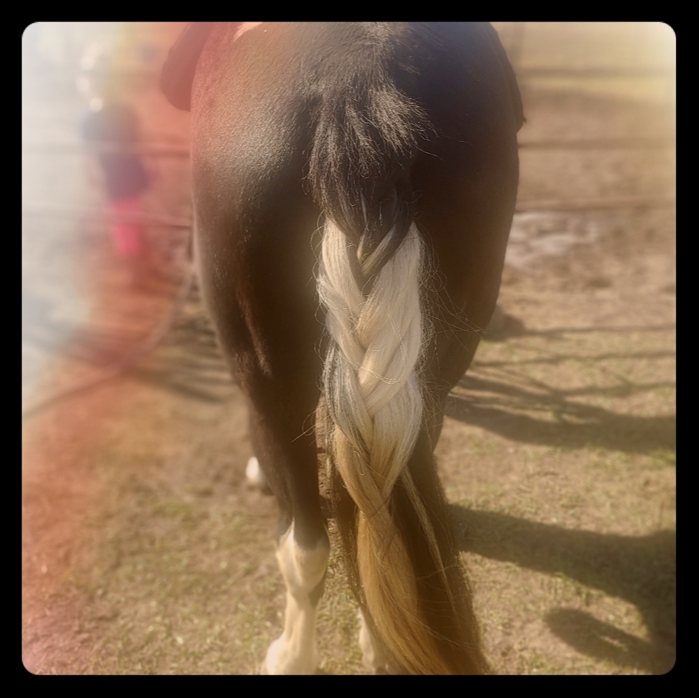 Hi Poshmark! Help Me Give Up My Clothes Addiction!